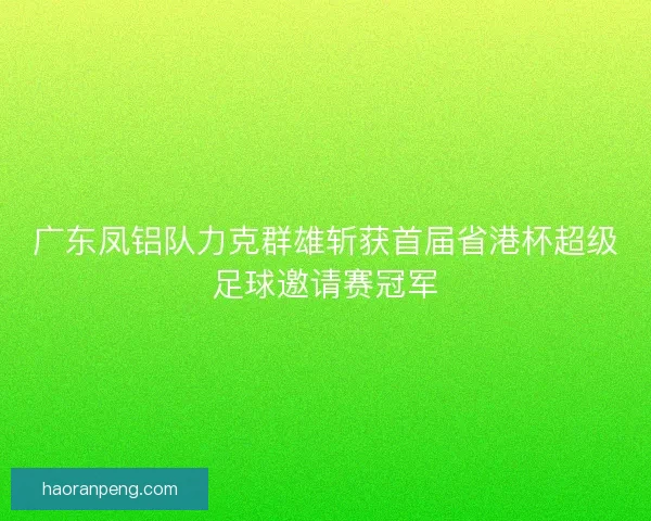 广东凤铝队力克群雄斩获首届省港杯超级足球邀请赛冠军 广东凤铝队力克群雄斩获首届省港杯超级足球邀请赛冠军